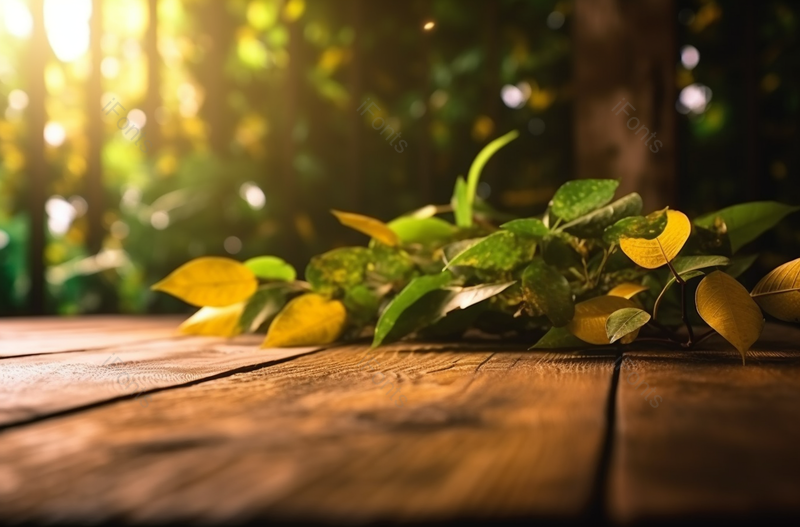 绿色叶子木桌子绿叶摆拍摄影图,高清,摄影图,摄影图片,图片大全,摄影图免费下载